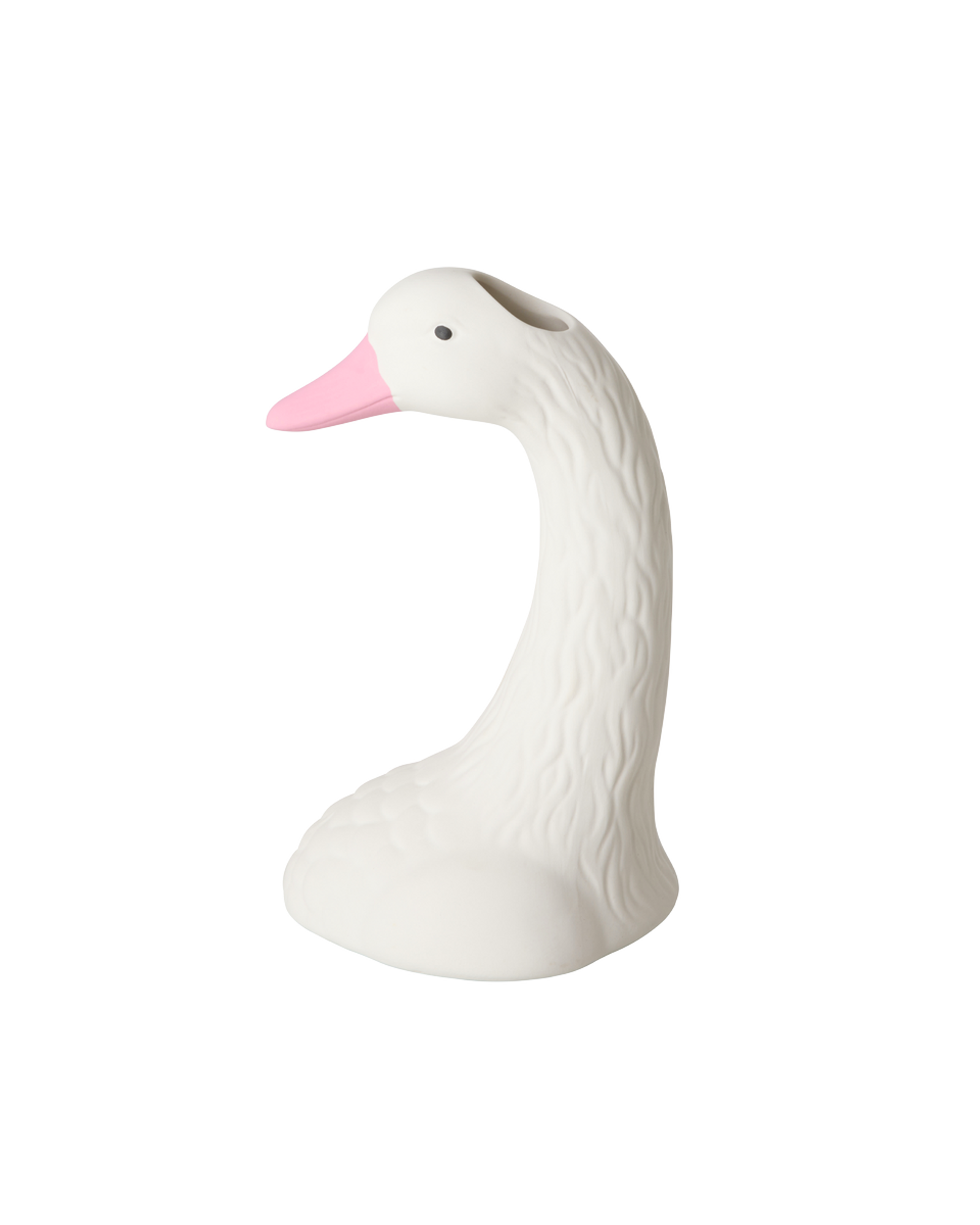 CEVAS-SWANN_1.png