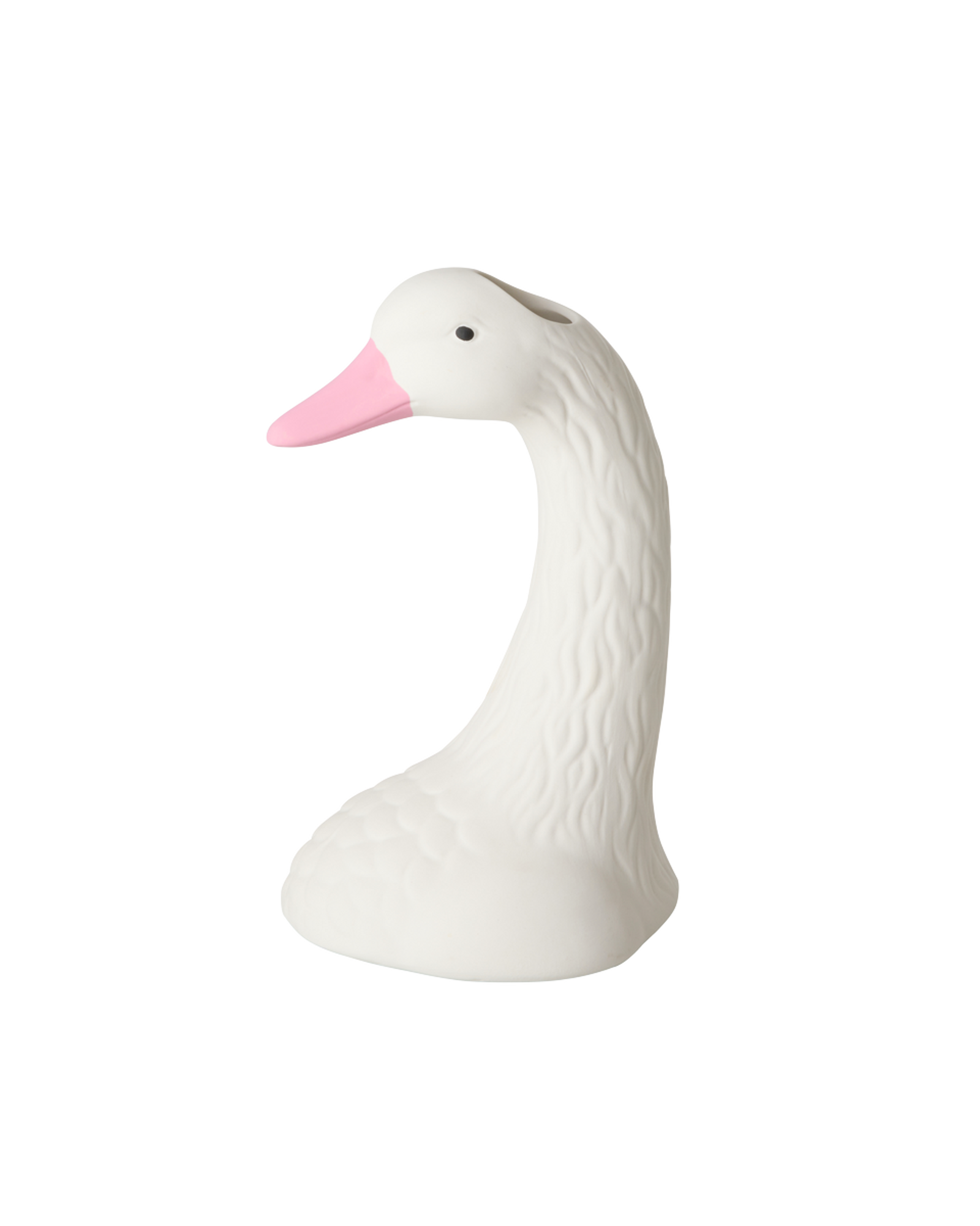 CEVAS-SWANN_2.png