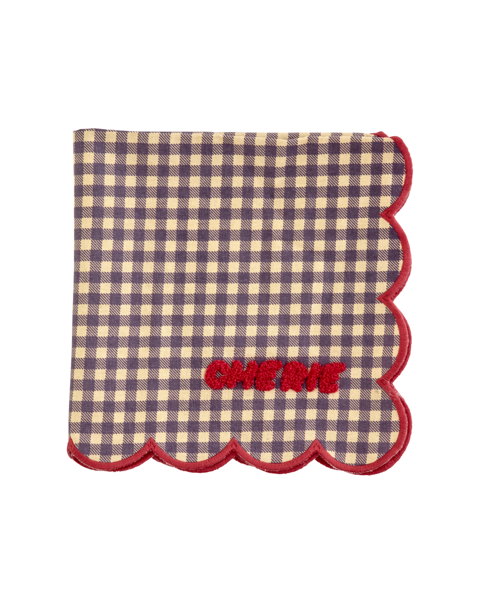FANAP-SCASR_1.png