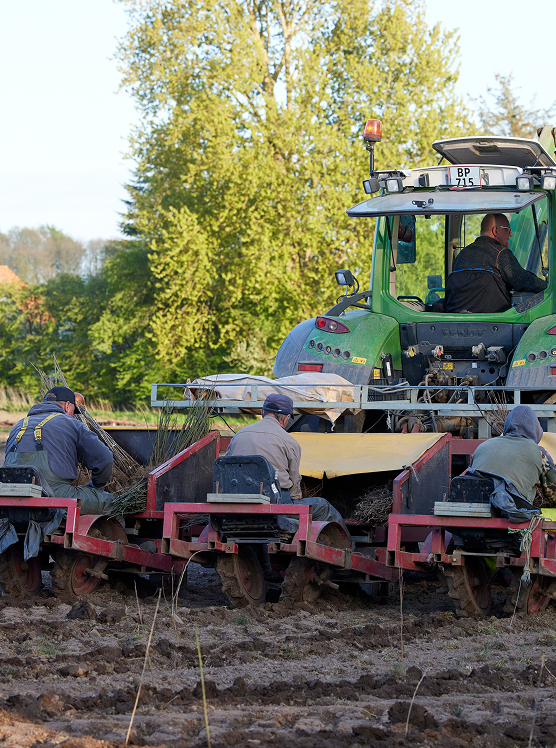 A forest full of care