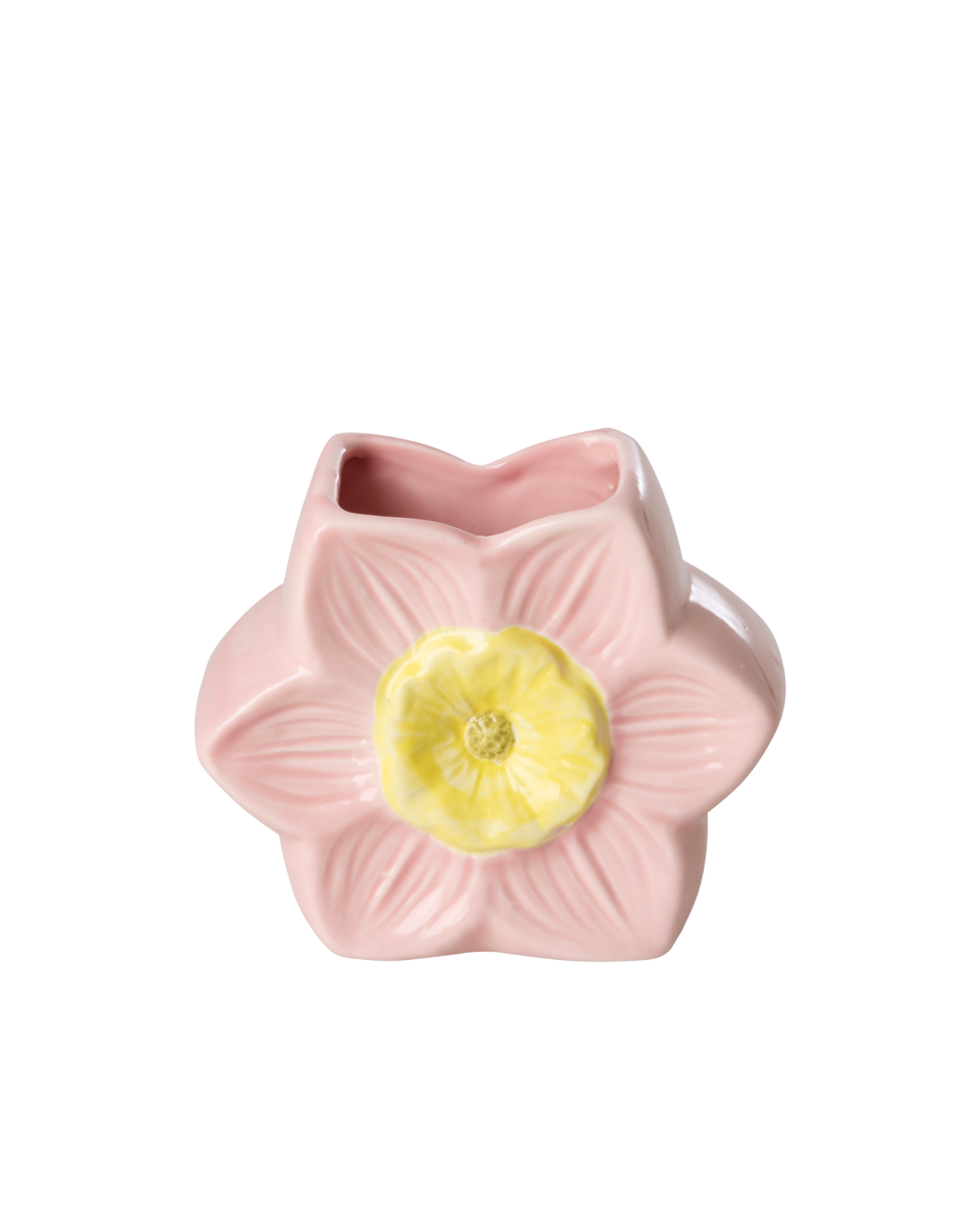 CEVAS-FLOI_1.png