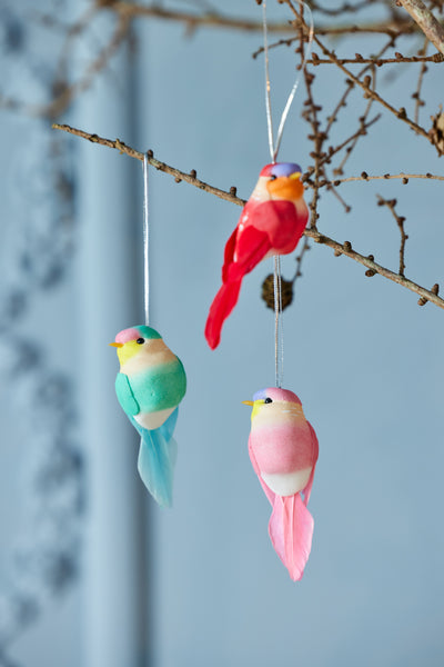 Bird Christmas Ornament - Aqua Environment