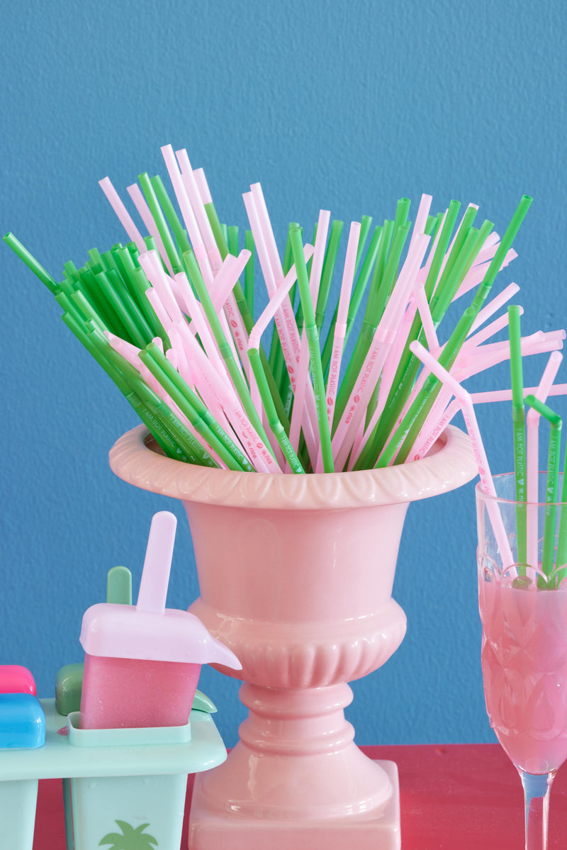 Plastic Drinking Straw - Pink Environment