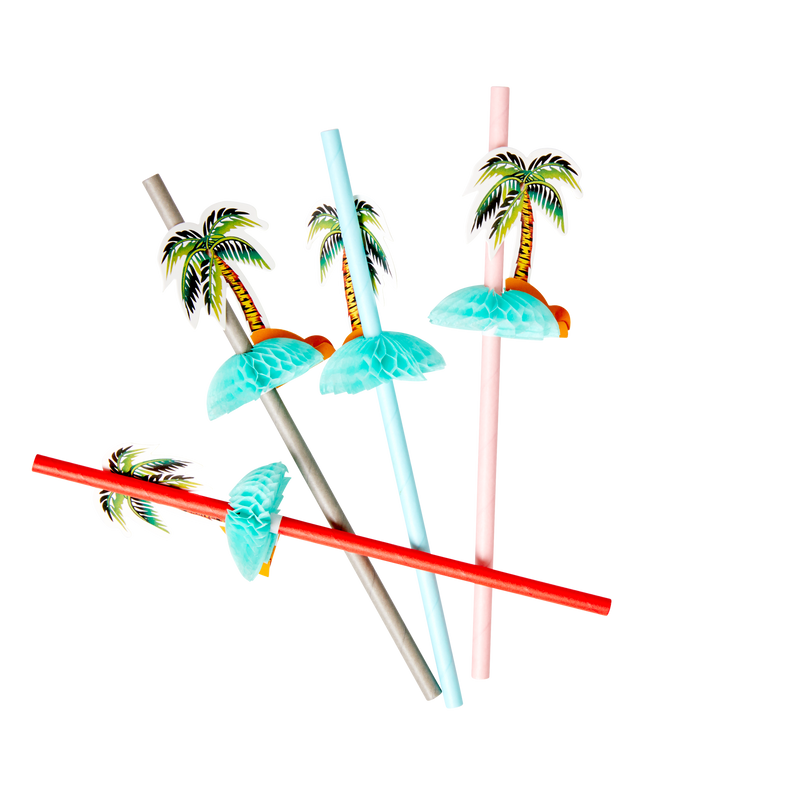 STRAW-PALM_2.png