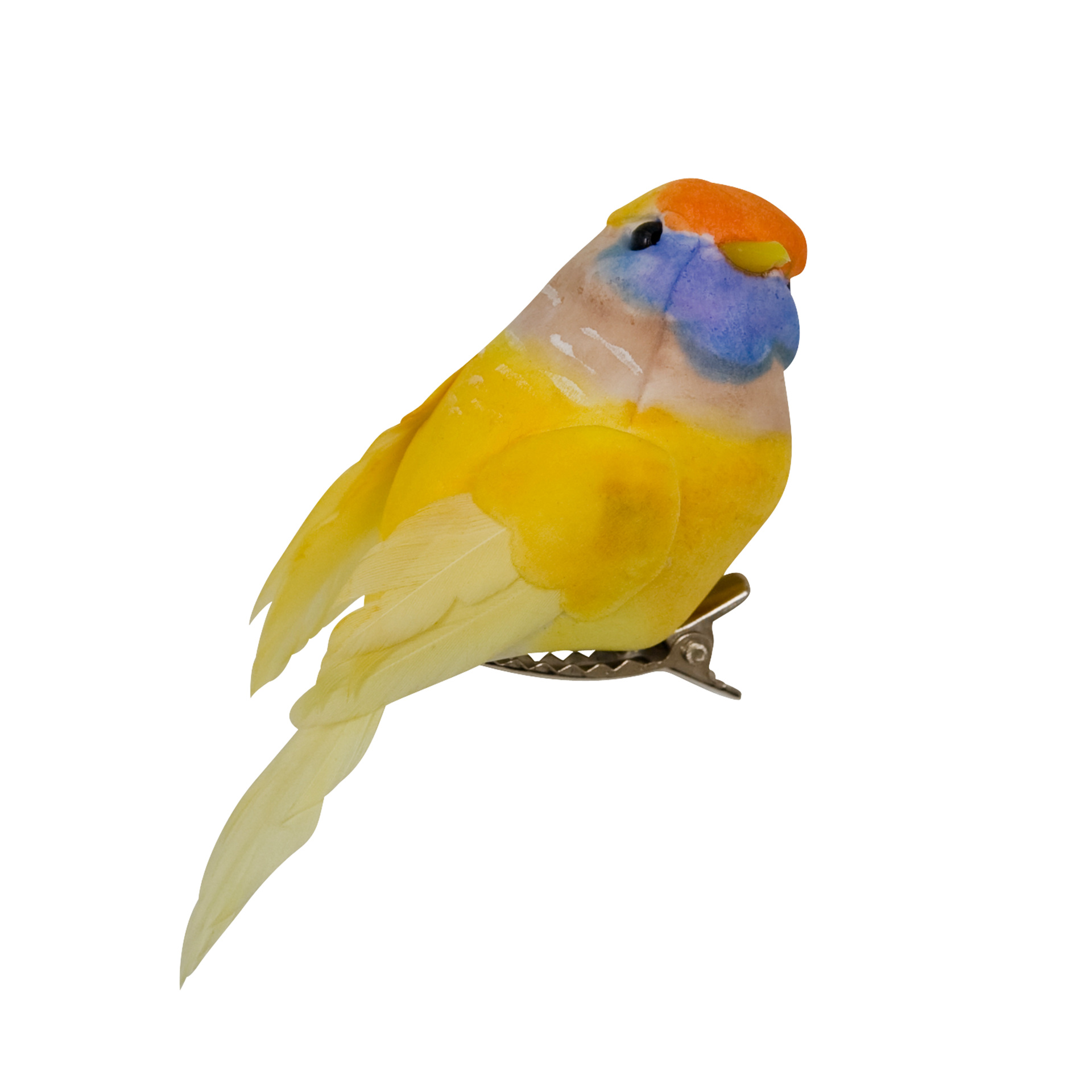 CHILDWEET 15stuks Geborduurde Vogel Applicaties Naaipatch